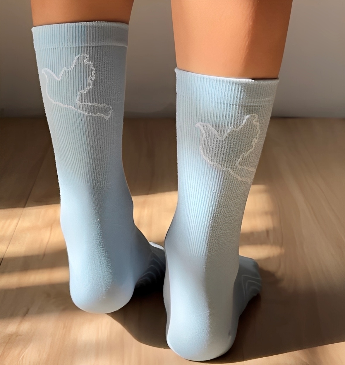 ensage Socks自行車襪_汐鴿