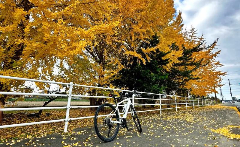 route cover image