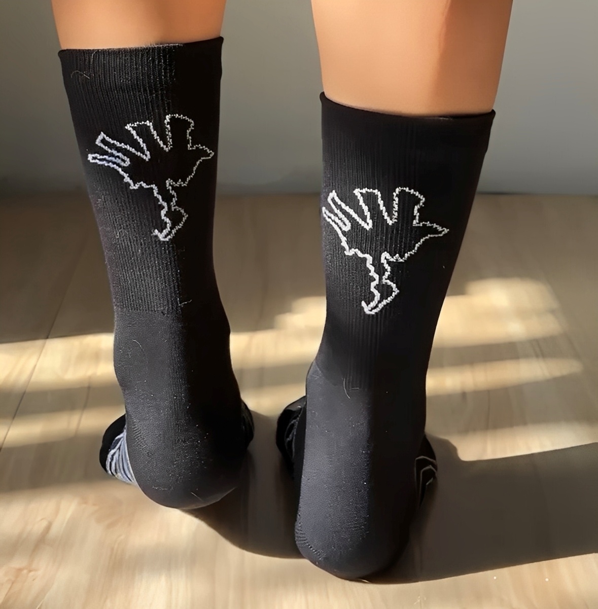 ensage Socks自行車襪_汝來神掌