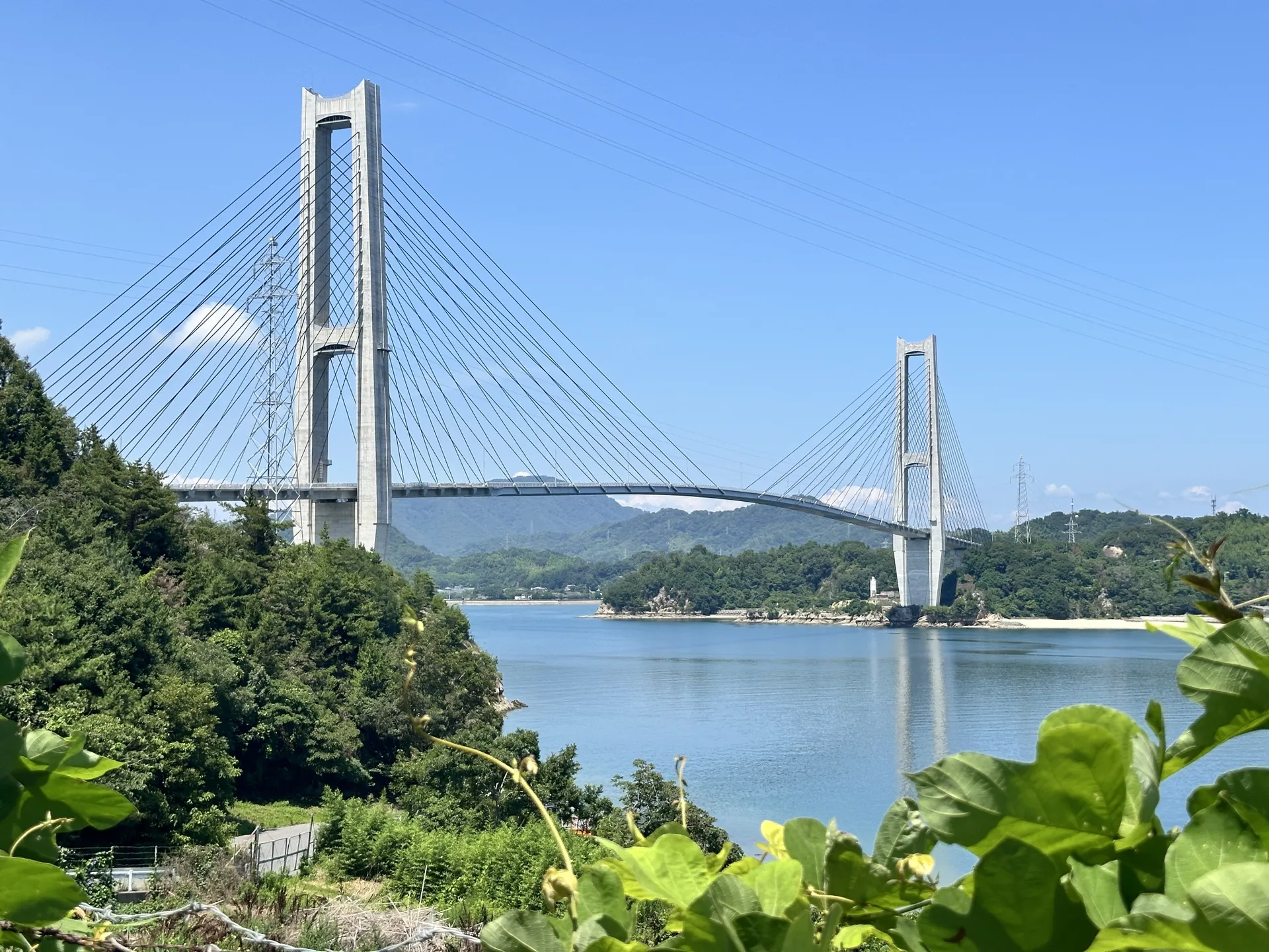Shimanami Kaido Island Cycling × Miyajima Scenery & Fan Pilgrimage